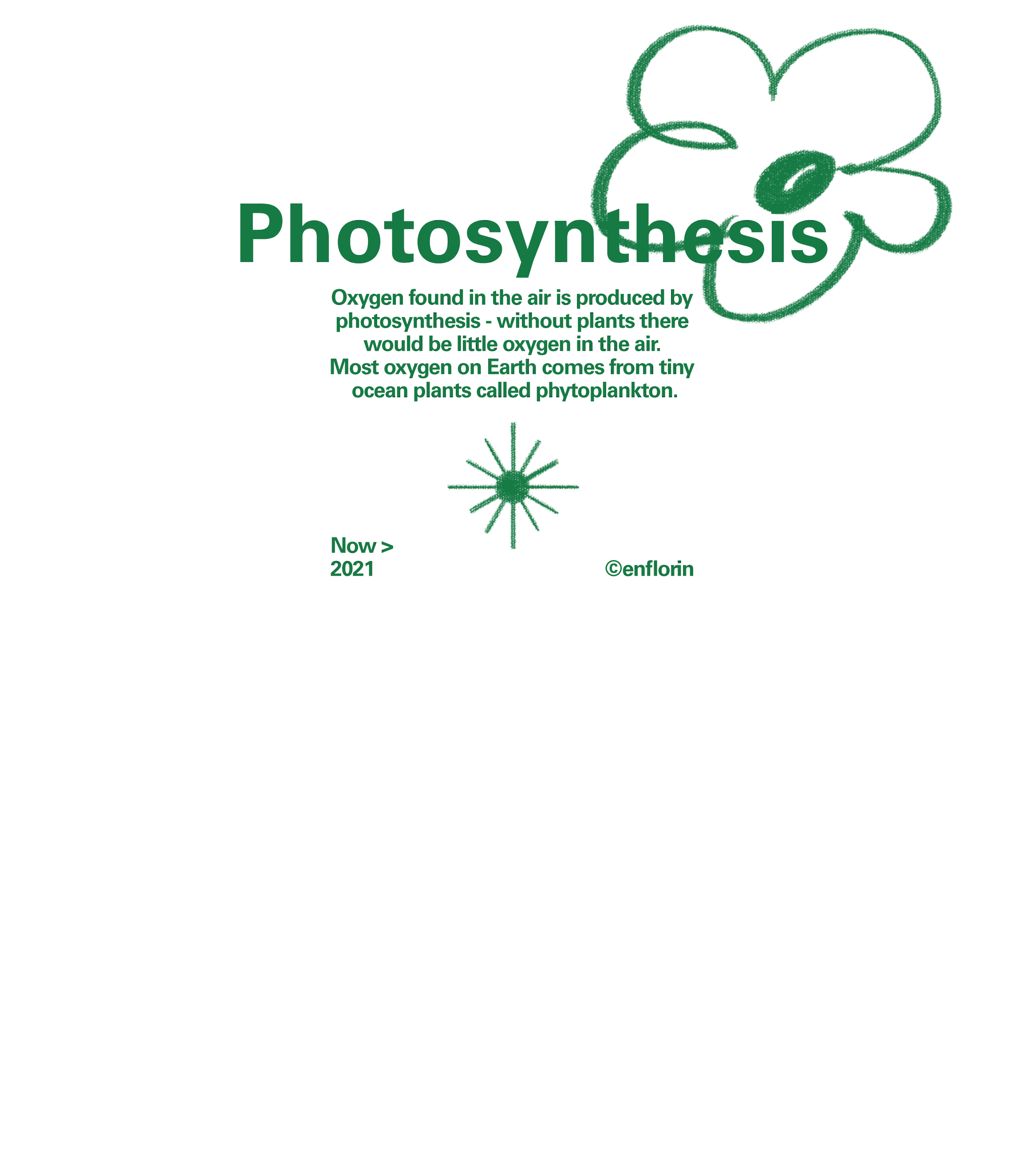 photosynthesis | Everpress