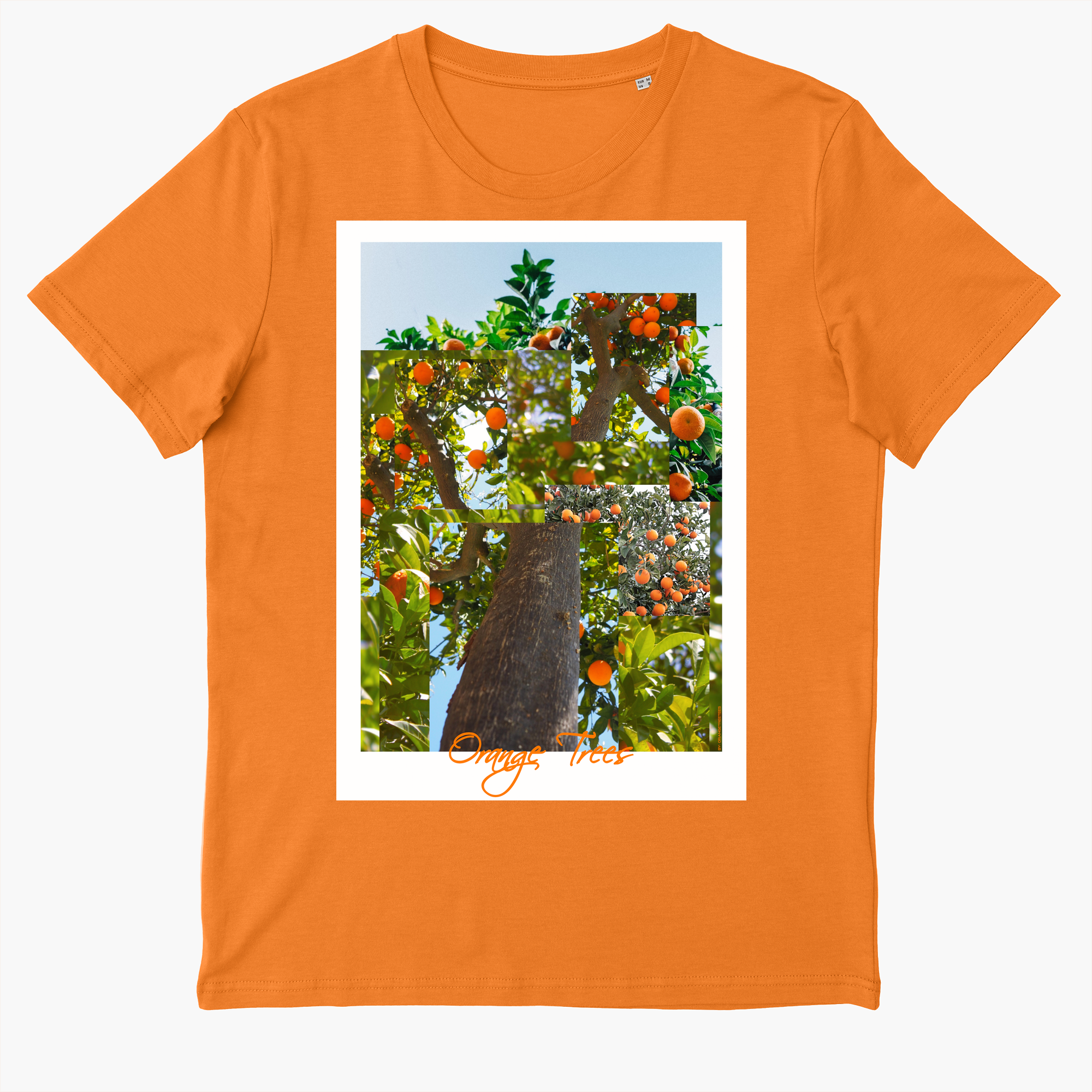 orange tree tees | Everpress