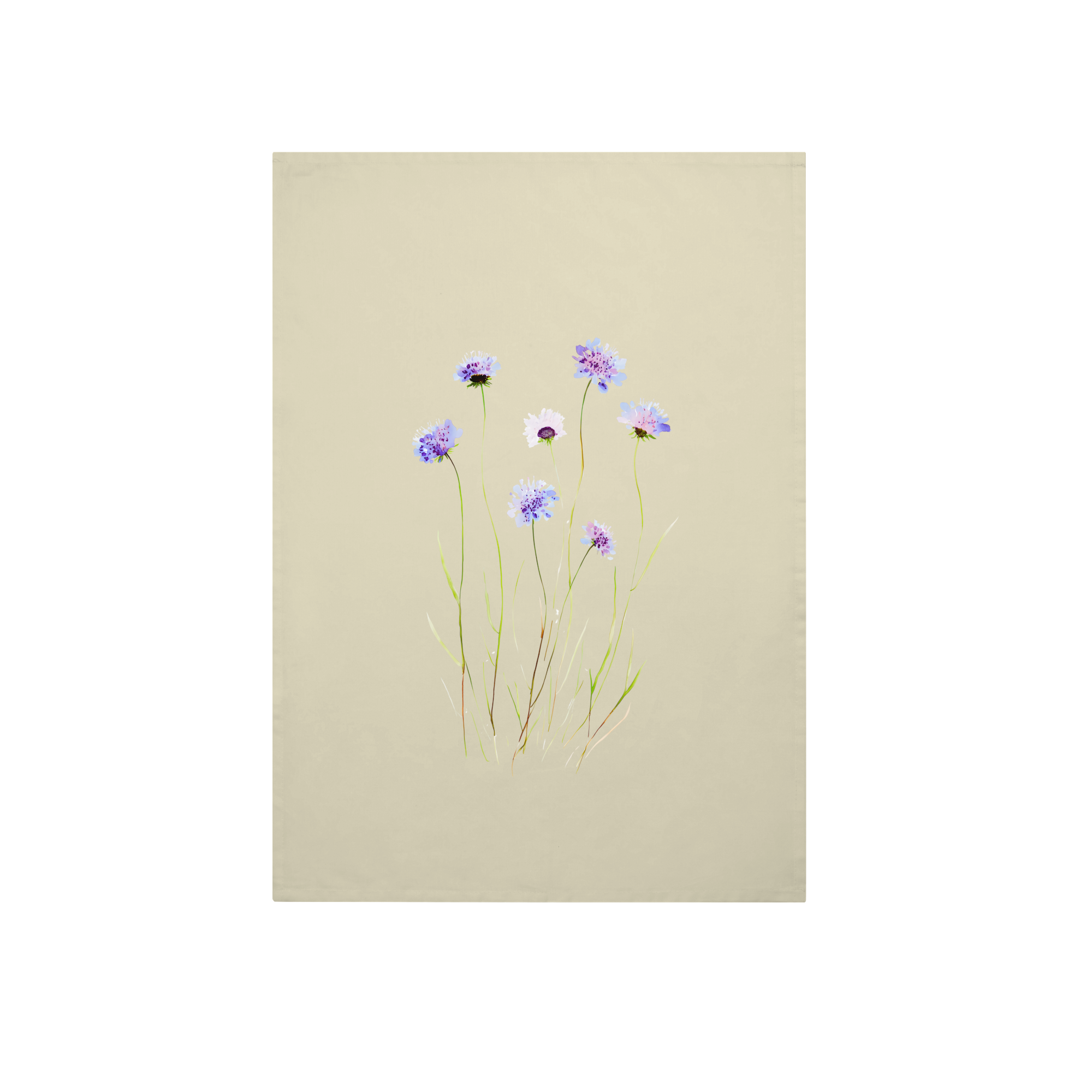 Alderandcedarwood Lifestyle in Natural