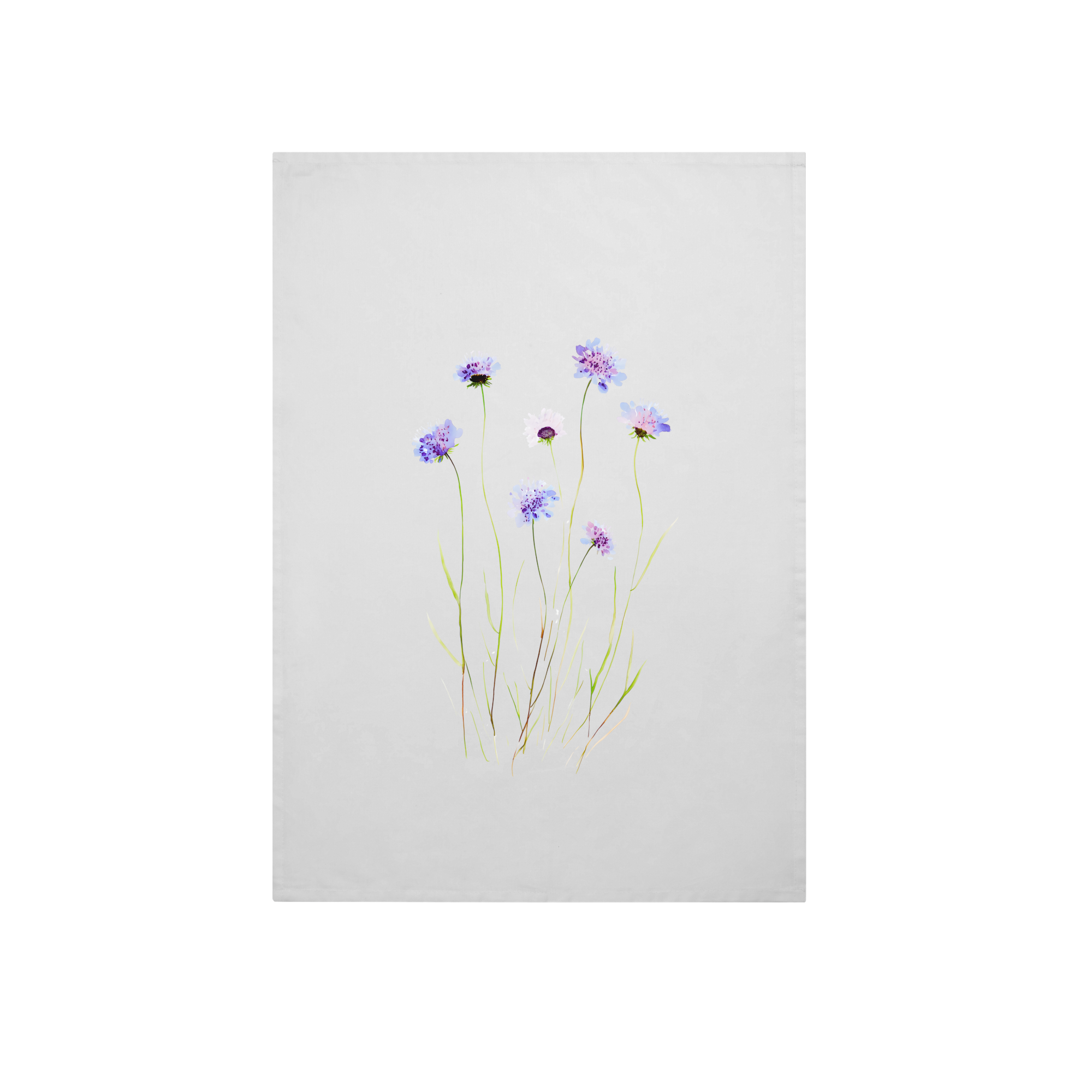 Alderandcedarwood Lifestyle in White