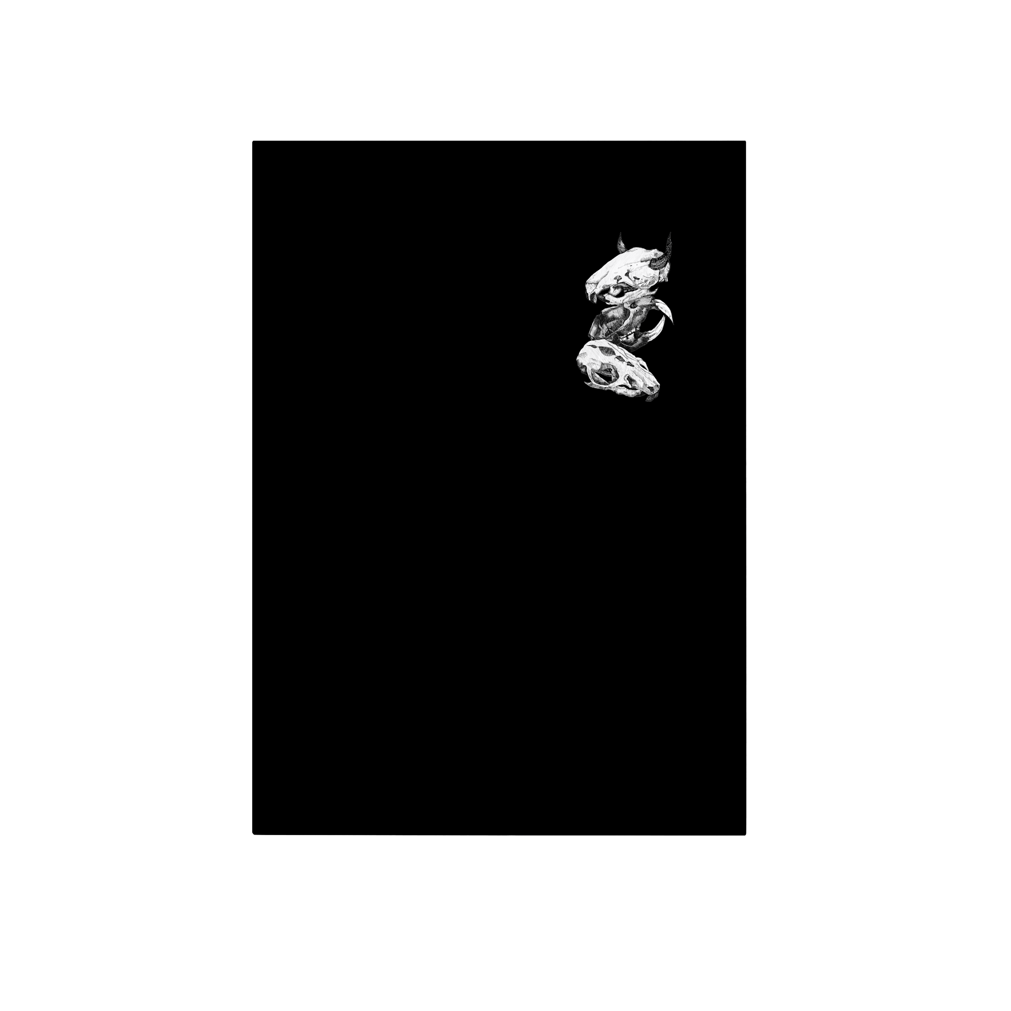 Skull Bones Black Lifestyle in Black