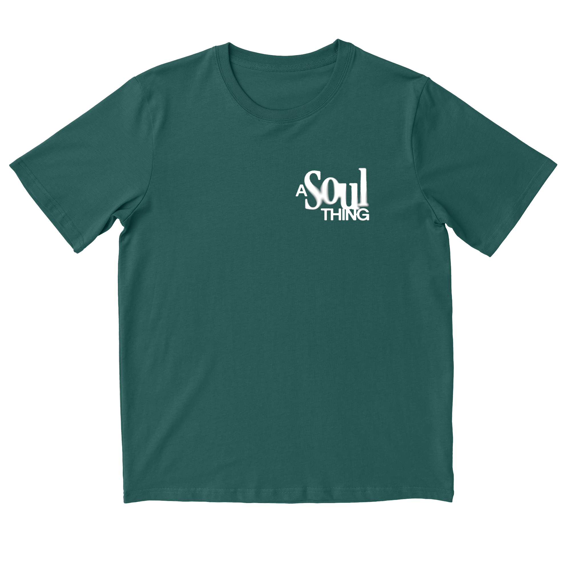 A Soul Thing T-shirt in Glazed Green